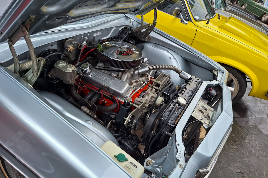Effective Ways to Prevent Animals from Entering Your Car's Engine Compartment